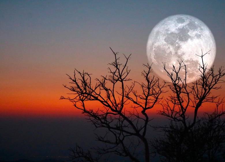 Visible desde Colombia el 10 de junio, la Luna de fresa será la más baja del año y podrá verse con tonos cálidos cerca del horizonte. FOTO Getty