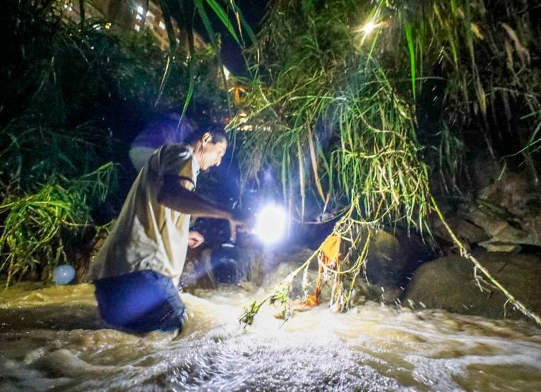 En este punto de la quebrada El Sesteadero, en Itagúí, la comunidad busca en la noche de este sábado a la niña de 7 años y a su padre, quienes fueron arrastrados por el agua. FOTO: Camilo Suárez.