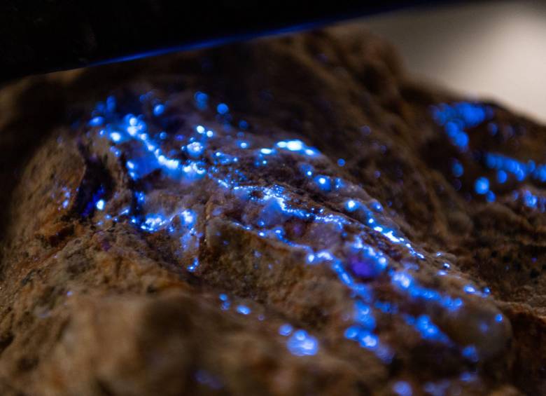 Una exploración en búsqueda de cobre y otros metales terminó con el hallazgo de tungsteno. Foto: AFP