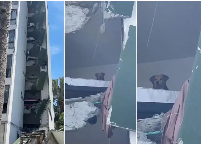 Momento en que Kiara quedó atrapada en el quinto piso del edificio. FOTO: Captura de video de redes sociales @MelyMunera