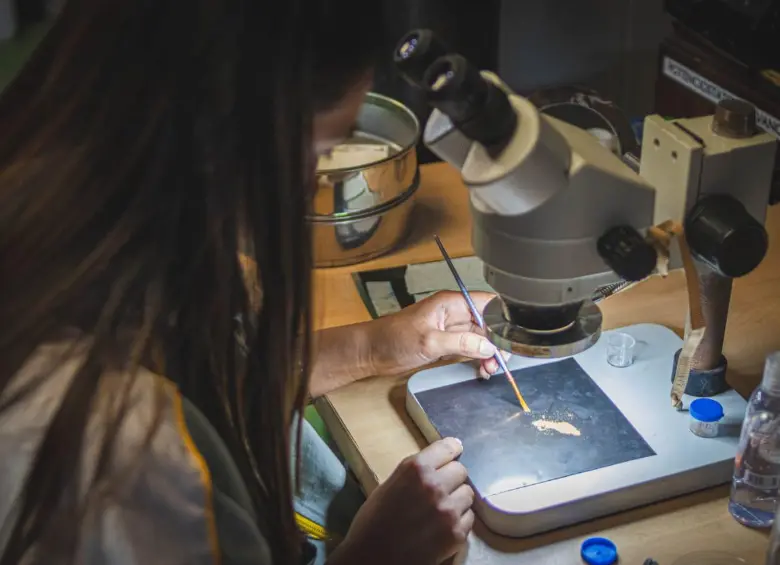 En 1988, la Facultad obtuvo una patente de carbón activado, anticipando una vocación por el conocimiento aplicado. FOTO cortesía