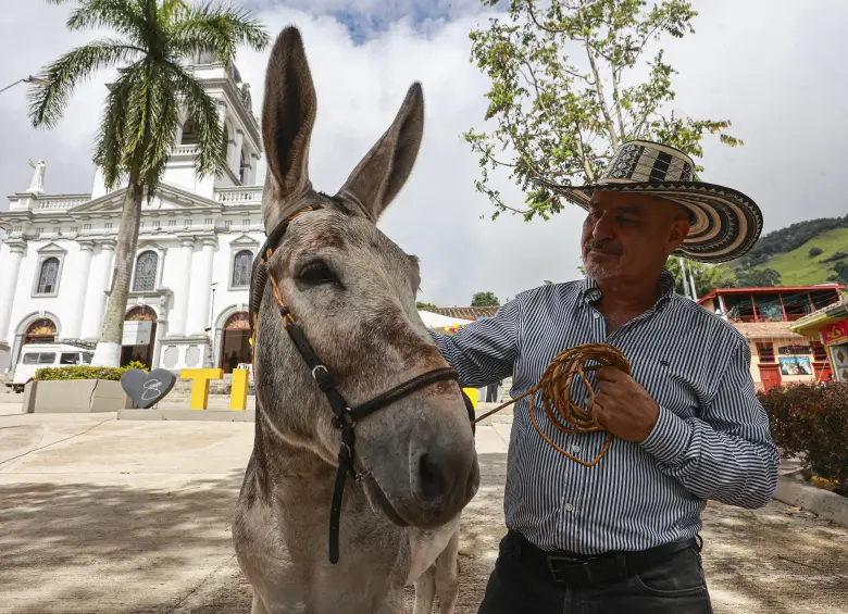 Titiribí, municipio del suroeste de Antioquia, ahora es reconocido legalmente como la capital de Mundial de la Mula de Silla tras la aprobación de la Ley Bartolo. Foto: Manuel Saldarriaga Quintero.