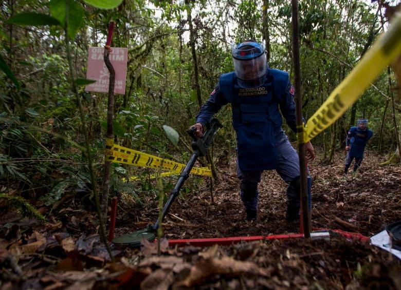 Imagen de referencia de un campo en el que trabajan equipos de desminado humanitario. Por ahora, en Murindó solo se adelanta desminado militar. Foto: Julio César Herrera E.