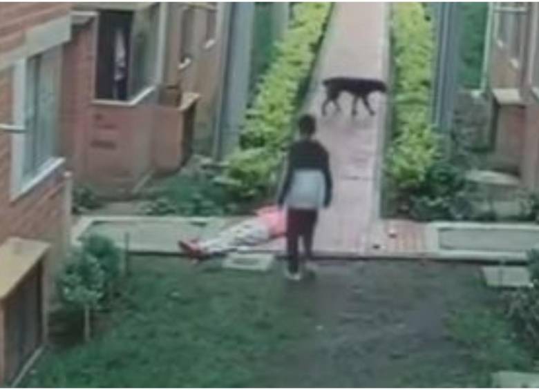 Un joven apareció para ayudar a la mujer que terminó en grave estado de salud. FOTO: CAPTURA VIDEO REDES SOCIALES