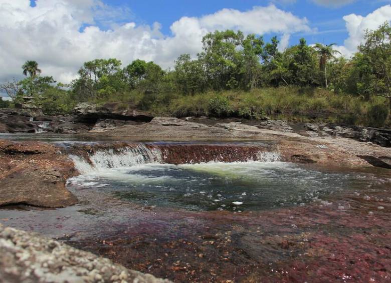 La mejor época para visitar Caño Cristales es entre julio y noviembre, cuando el río alcanza su máximo esplendor y los colores están en su punto más vibrante. FOTO: Colprensa.