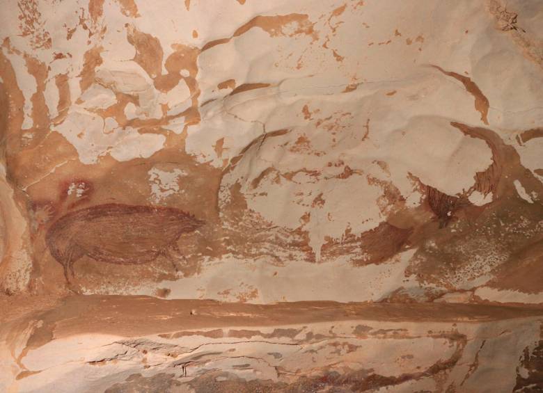 La pintura de un cerdo de hace 45.500 años, la más antigua del mundo