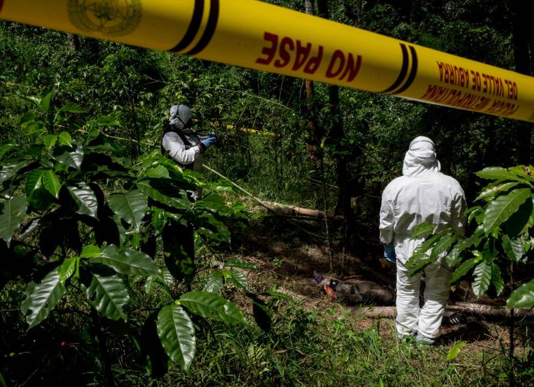 Los asesinatos ocurrieron en zona rural del municipio de Salgar. FOTO IMAGEN DE REFERENCIA: ARCHIVO EL COLOMBIANO