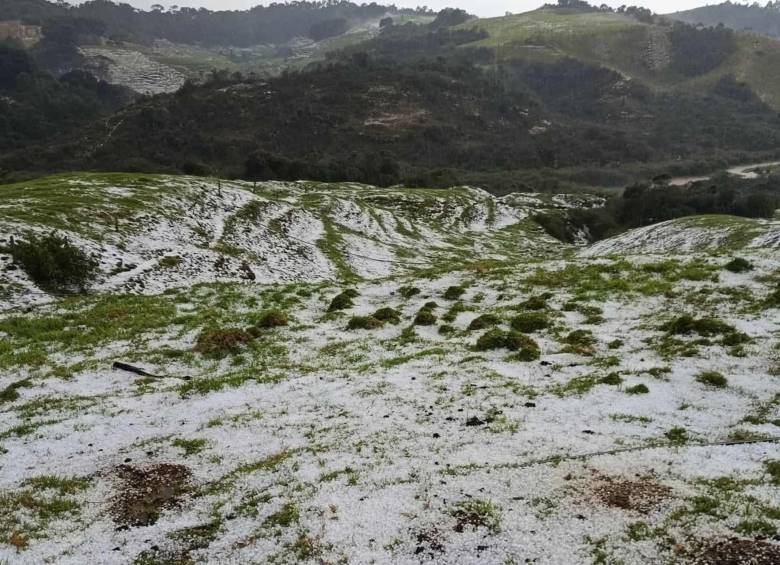Una granizada cubrió de blanco un campo en la vereda San Bernardo. Foto: redes sociales