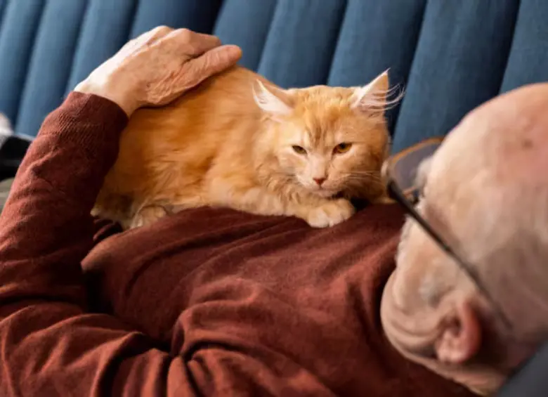 Un adulto mayor cargando a una gata. FOTO: Freepik
