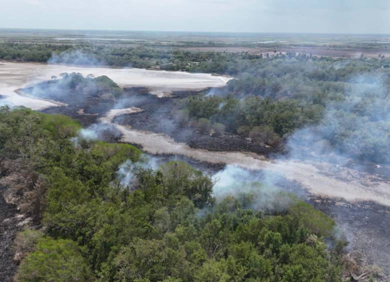 El incendio forestal ha consumido un área que es declarada Reserva de la Biosfera por la Unesco. Foto: Gobernación de Magdalena