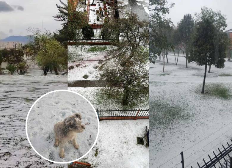 Granizo cubrió de blanco varias calles de Bogotá y dejó impresionantes imágenes. Foto: tomada de redes sociales
