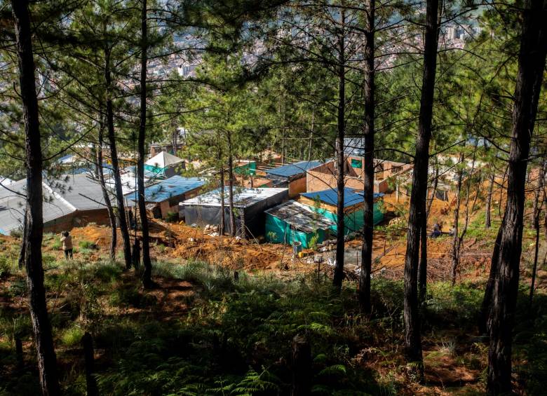 Ciudad Perdida es uno de los asentamientos irregulares más nuevos del Cerro Quitasol. La urbanización está prohibida en las áreas de protección. Foto: Andrés Camilo Suárez, 