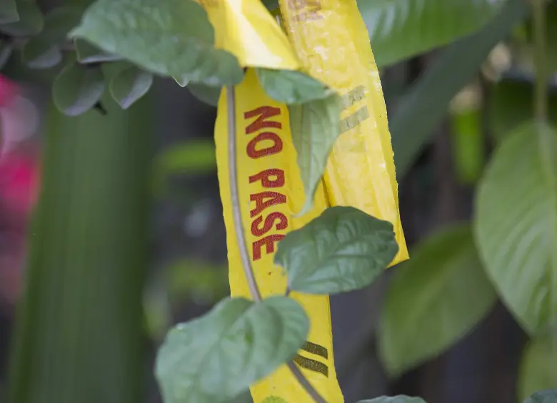 El triple homicidio ocurrió en la vereda Santa Ana, en Abejorral. FOTO: Edwin Bustamante Restrepo