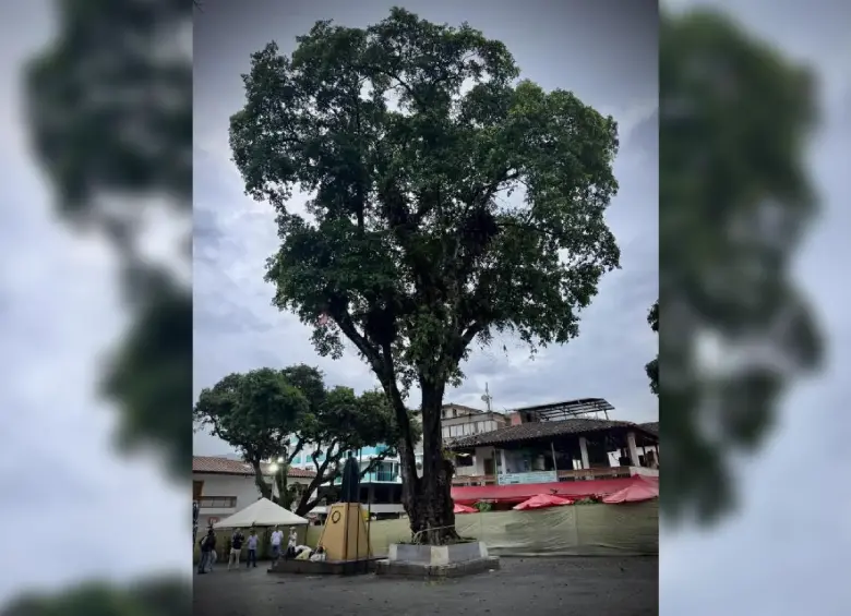 Los habitantes de San Rafael piden que el lugar se mantenga como punto de encuentro. FOTO: CORTESÍA