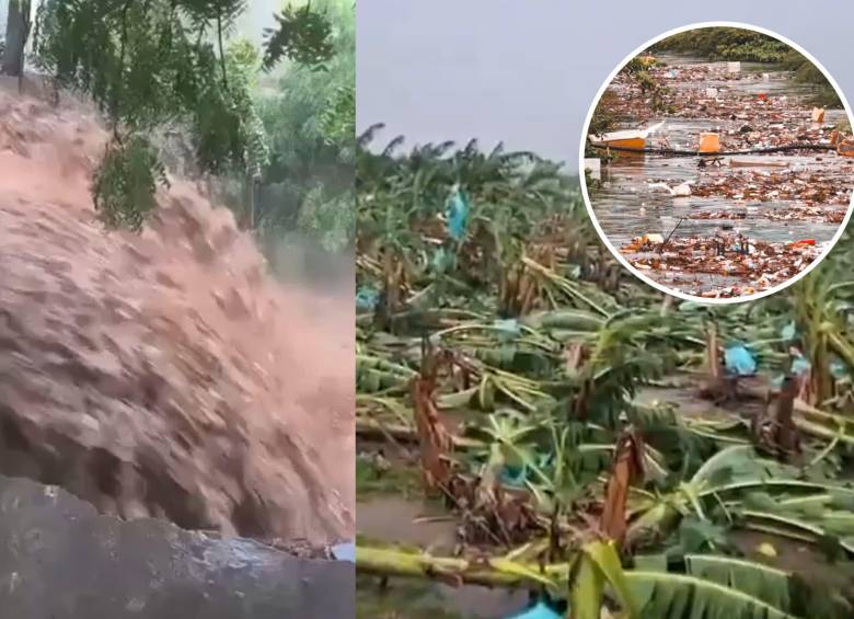 Las lluvias dejaron cultivos de banano afectados en la Zona Bananera y provocaron inundaciones en Santa Marta, mientras el aumento del caudal del río Manzanares arrastró residuos hacia la bahía. Foto: captura de video redes sociales @Zunigacotes @honohenriquez @guillerodph