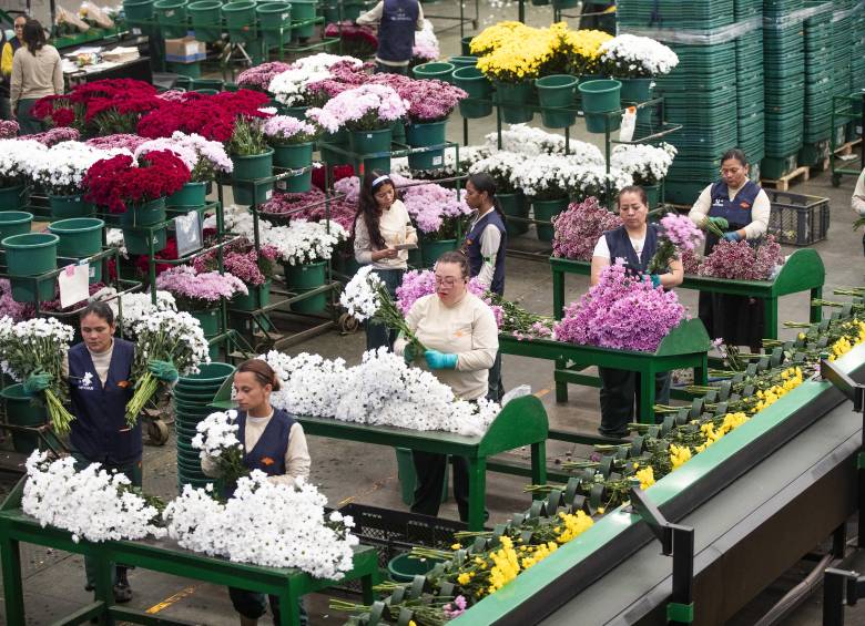 La semana laboral de cuatro días que propone la reforma laboral sería consensuada entre trabajadores y empleados. FOTO: Esneyder Gutiérrez