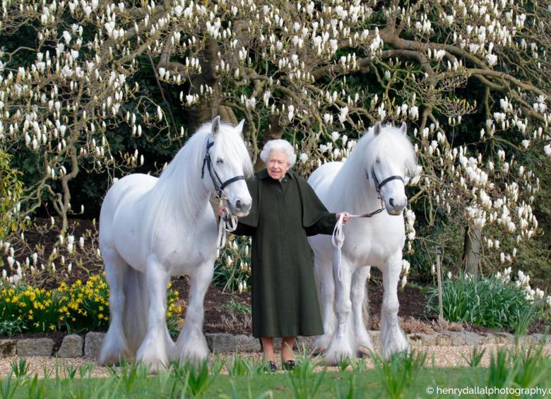 Terrenos del Castillo de Windsor. La Reina Isabel II aparece con dos de sus ponis: Bybeck Katie y Bybeck Nightingale. FOTO TWITTER THE ROYAL FAMILY.