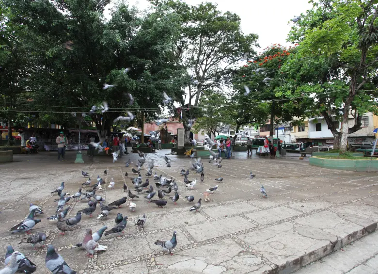 Imagen de referencia del municipio de Segovia. Foto: Jaime Pérez Munévar