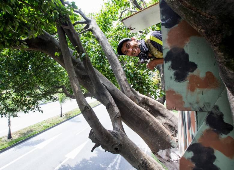 Algo sorprendente es el ingenio que utilizó Juan Carlos para construir las escalas con las que sube a su vivienda, las cuales incrustó entre los troncos con mucha firmeza. FOTOS: JULIO CÉSAR HERRERA