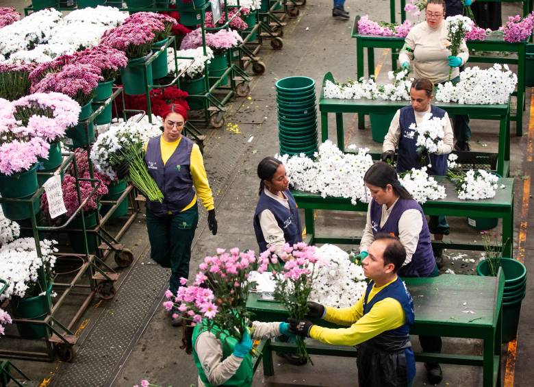 El Día de la Madre es una de las fechas claves para los floricultores colombianos. FOTO EL COLOMBIANO