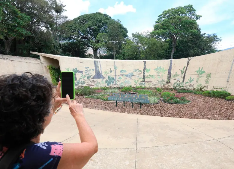 Así es Los bosques. Tejiendo lo invisible, la nueva exposición del Jardín Botánico de Medellín