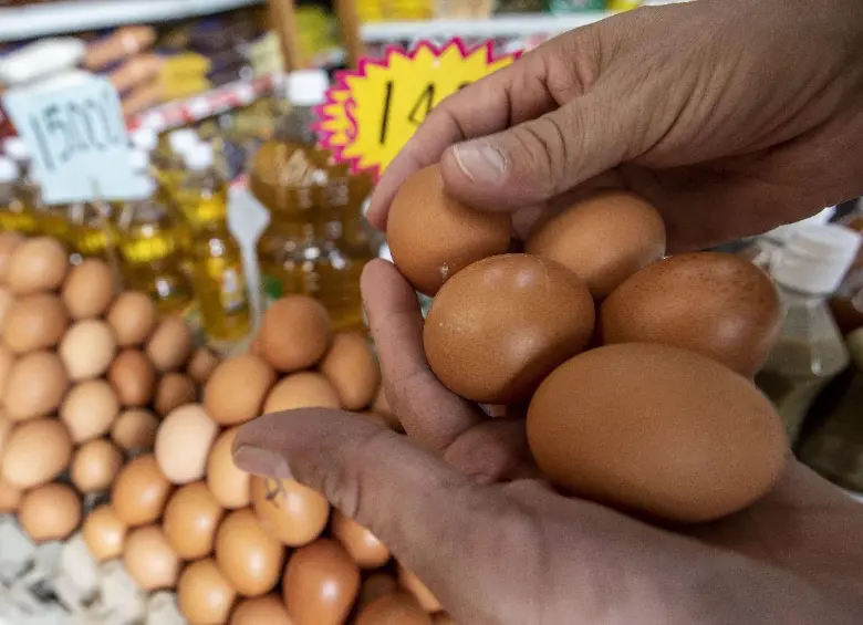Para la industria avícola, la apertura estadounidense no solo significa más ventas, también es una señal de confianza internacional en los sistemas sanitarios y de control del país. FOTO: Manuel Saldarriaga