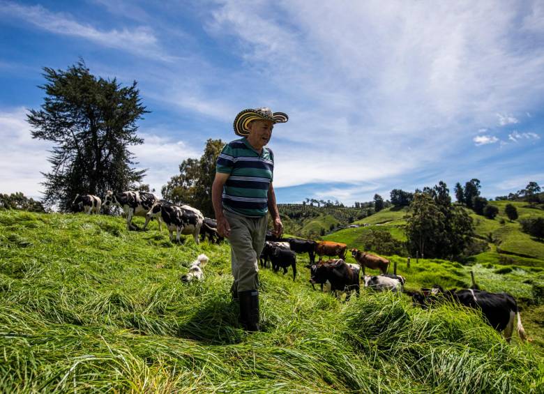 Fortunato vendió las vacas sin pensar demasiado en el futuro del negocio. Foto: Carlos Velásquez. 