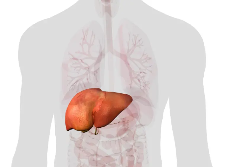 La enfermedad puede desarrollarse durante décadas sin síntomas. FOTO AFP