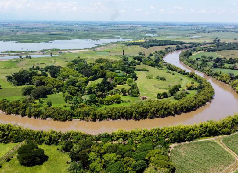 El corredor se conecta con 13 afluentes del río Cauca. Foto: Asocañas 