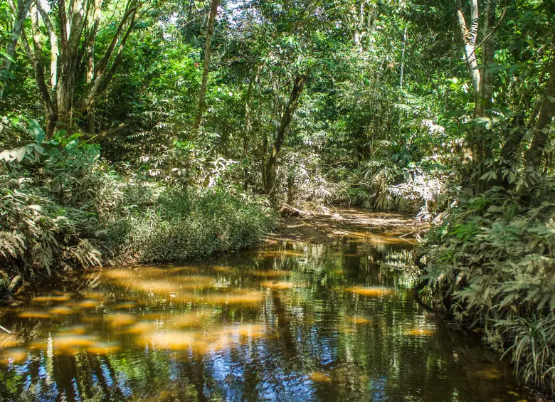 Foto: Cristina Rodriguez. 