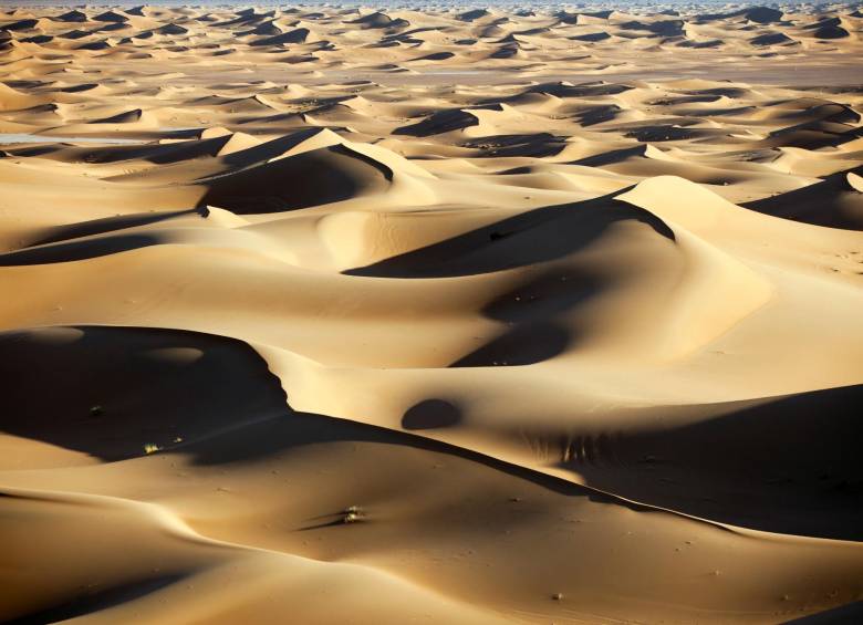 Especiales las figuras y sombras que forman las dunas, creadas por la luz del sol. Foto: GETTY