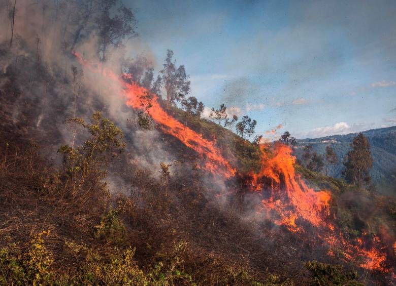 Seis incendios forestales se han presentado en Medellín en lo que va del año. FOTO: CORTESÍA DAGRD.