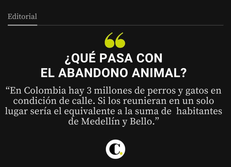 ¿Qué pasa con el abandono animal?