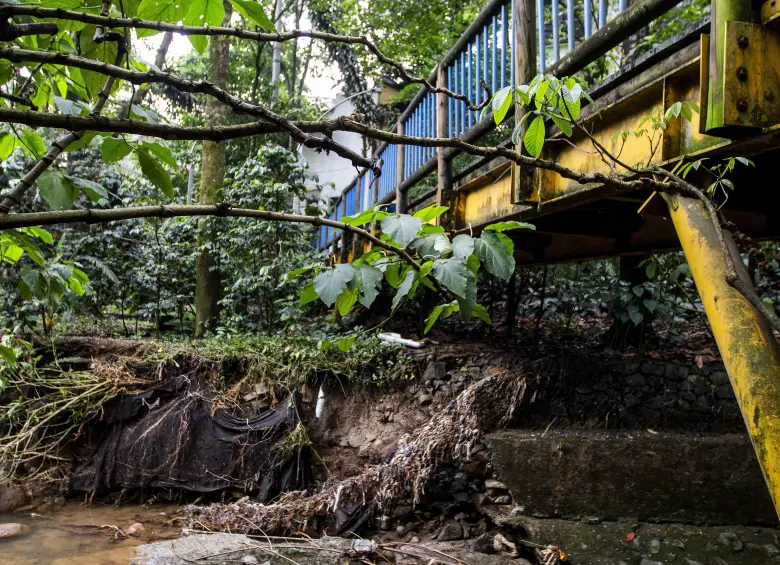 ¿Qué hacemos con la quebrada La Presidenta en El Poblado? La alerta está desde hace 19 años