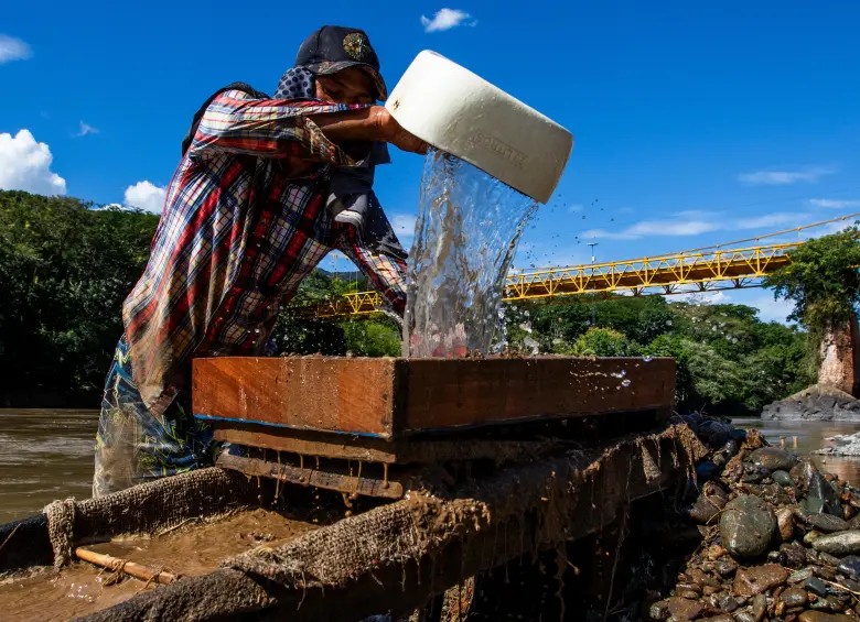 Las innumerables lavadas permiten filtrar los gránulos de oro. Cada lavada del cajón se asegura poniendo la batea debajo para evitar que se pierda el oro que concede el playón del río Cauca en la parte baja de Puente Iglesias, en el Suroeste. FOTO JULIO CÉSAR HERRERA ECHEVERRY