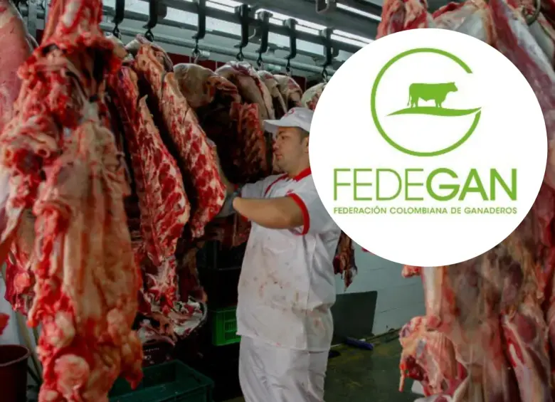 Para Fedegán, el Gobierno ha identificado erróneamente la causa del encarecimiento de la carne en el país, por lo que no están de acuerdo con suspender las exportaciones de ganado. FOTO: Manuel Saldarriaga y Fedegan