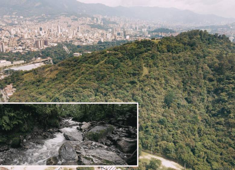 Imagen de referencia de la biodiversidad de la ciudad de Medellín. FOTO: Cortesía.