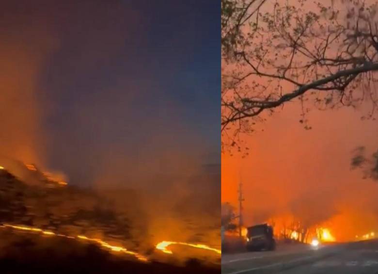 24 incendios forestales afectaron al Tolima y consumieron bosques y cultivos. Las autoridades ya han controlado la mitad de ellos. Foto: captura de video redes sociales @willj84753699