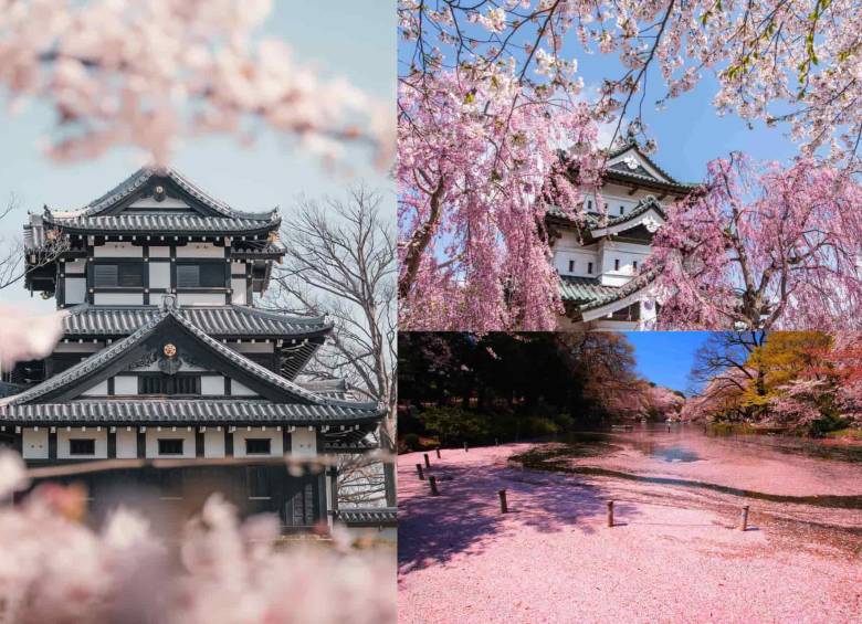 Parque Sitio del Castillo Takada, Niigata, Barrio Shimoshirogane y el parque de Inokashira en Japón. Foto: Japan Endless Discovery/ @mark.matsuoka