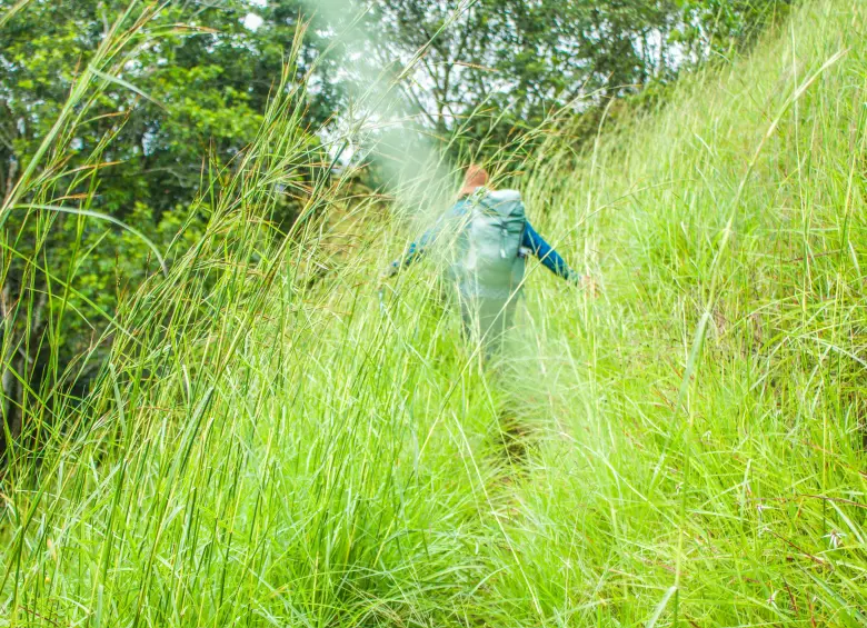 Descenso desnivel negativo, pasto al nivel del cuerpo humano. Foto: Cristina Rodriguez. 