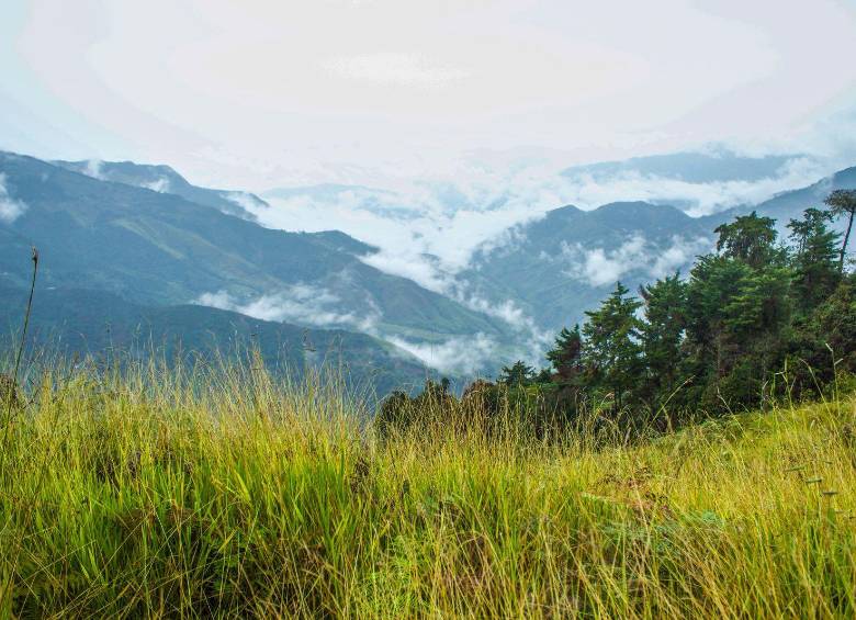 Vista en parada para desayuno en Montaña. Foto: Cristina Rodriguez. 