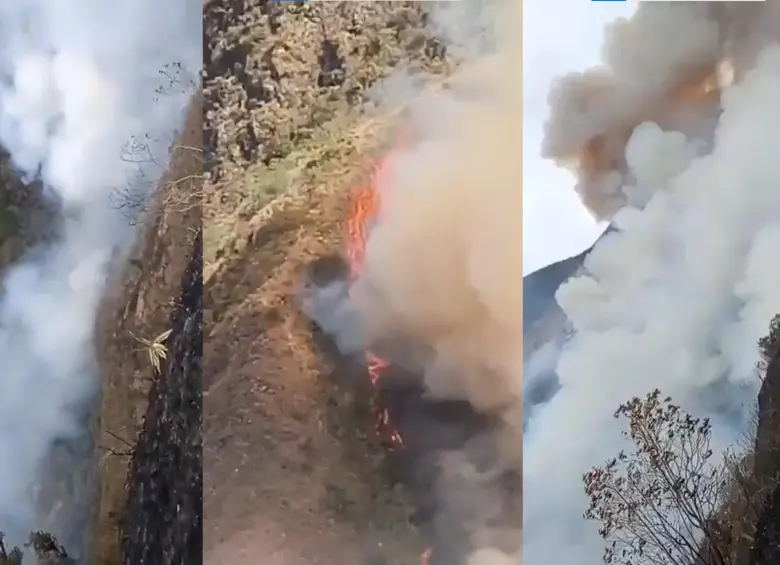 Bomberos llevan 10 días combatiendo incendio forestal en Buga pero los focos vuelven a encenderse. Foto: Captura de video X @JUANCAELBROKY