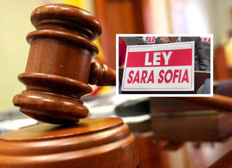 Según la Corte Constitucional, esta ley estatutaria crea y reglamenta la Alerta Colombia Ley Sara Sofía para ampliar la protección a todos los menores de 18 años. FOTO: Colprensa