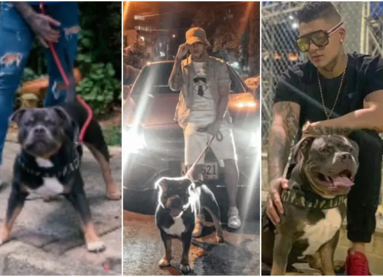 Imágenes de B King junto a su perrita. FOTO: Tomada de redes sociales @bkingoficial