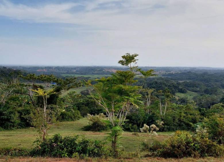 Imagen de referencia de la zona que sería declarada reserva. FOTO: Cortesía Corantioquia