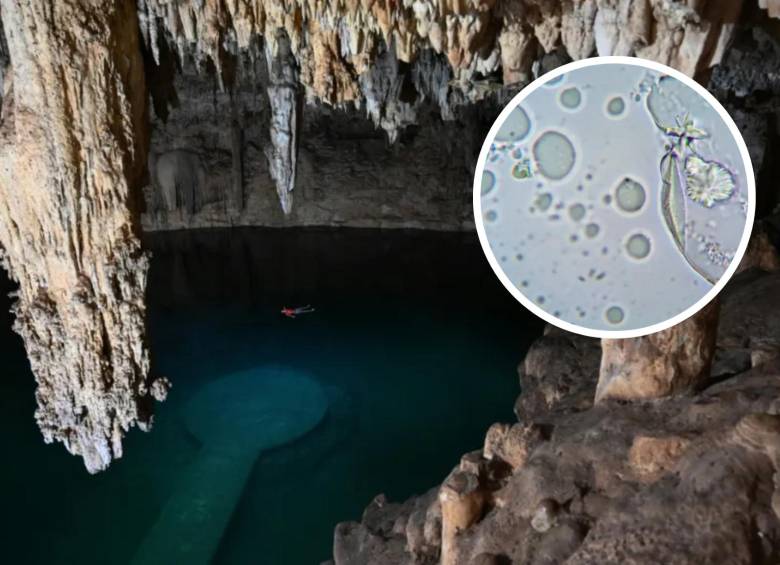 Seis de nueve lagos recreativos examinados dieron positivo a la mortal ameba Naegleria fowleri. El gobierno pide calma mientras investiga a las empresas responsables del mantenimiento del agua. FOTO: AFP y Getty