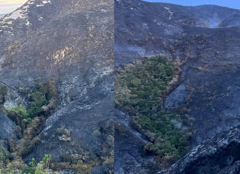 Tras una labor de las autoridades y un trabajo conjunto con campesinos de la zona se controló un incendio forestal en Ábrego, Norte de Santander. Foto: tomadas de X @laopinion_col