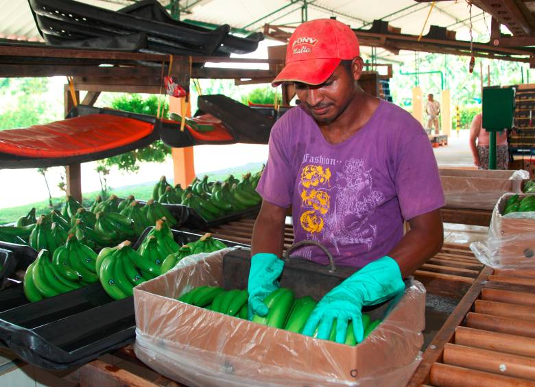FOTO FUNDACIÓN JULIO C. HERNÁNDEZ