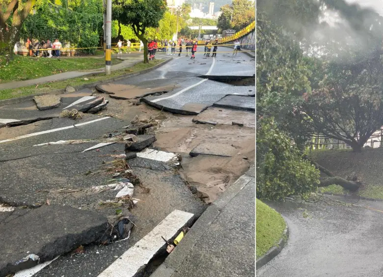 Álbol caido en Medellín. Foto: Juan Antonio Sánchez, EL COLOMBIANO - cortesía
