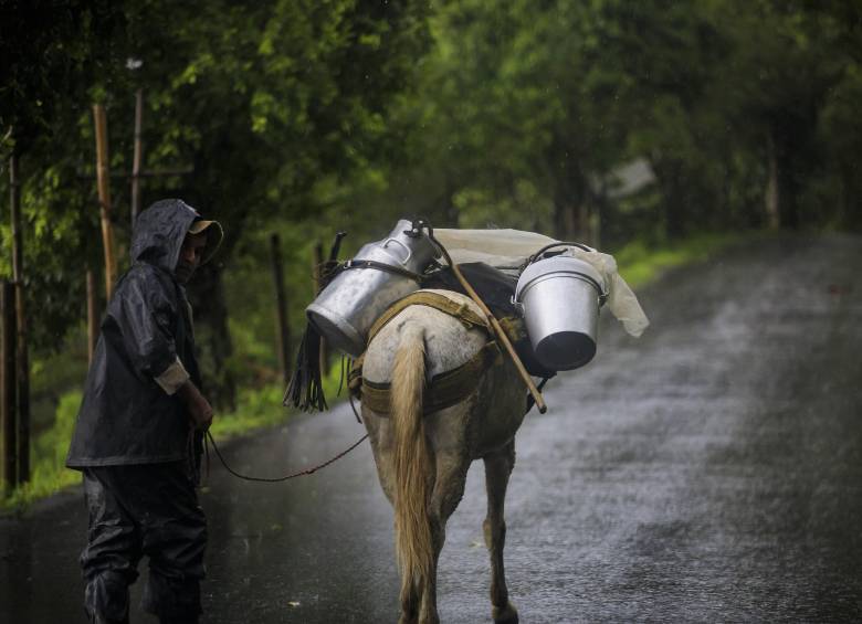 Descripción: Recorrido por desplazamiento forzado en el municipio de Briceño, por el frente 36 de las Farc. Lugar: Briceño. Fecha de evento: 21/10/2025. Foto: Andrés Camilo Suárez Echeverry.